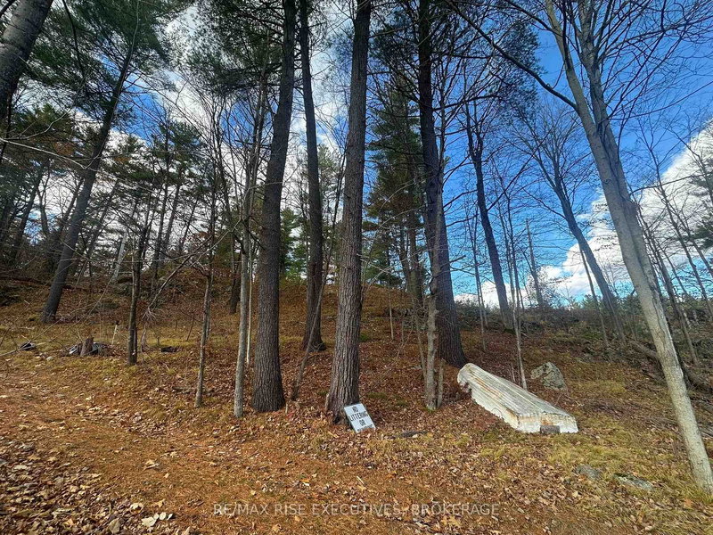 1457 Opeongo Rd, Parham, K0H 2K0 | Image 3