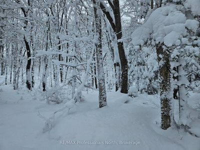 462 Cardwell Lake Road, Huntsville, Ontario image-0-1