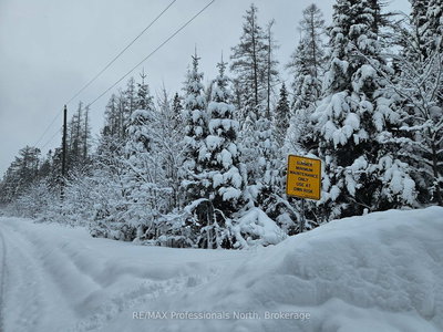 462 Cardwell Lake Road, Huntsville, Ontario image-0-2