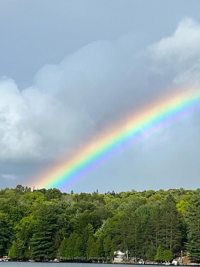 1433 South Horn Lk Road