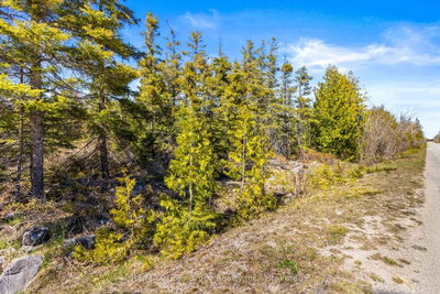 Pt Fm Lt 4 Chi Sin Tib Dek Road • Northern Bruce Peninsula, ON photo 6