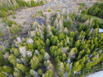 LOT 17 FORBES Road — photo 5