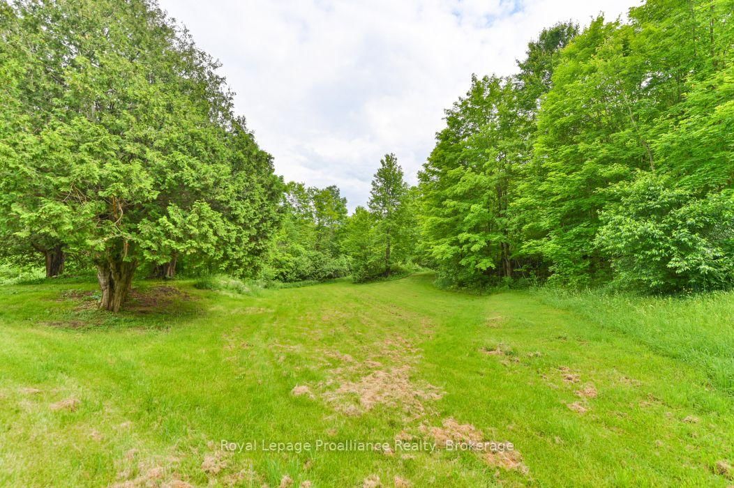 369 5th Concession Road S • Kaladar, ON photo 30