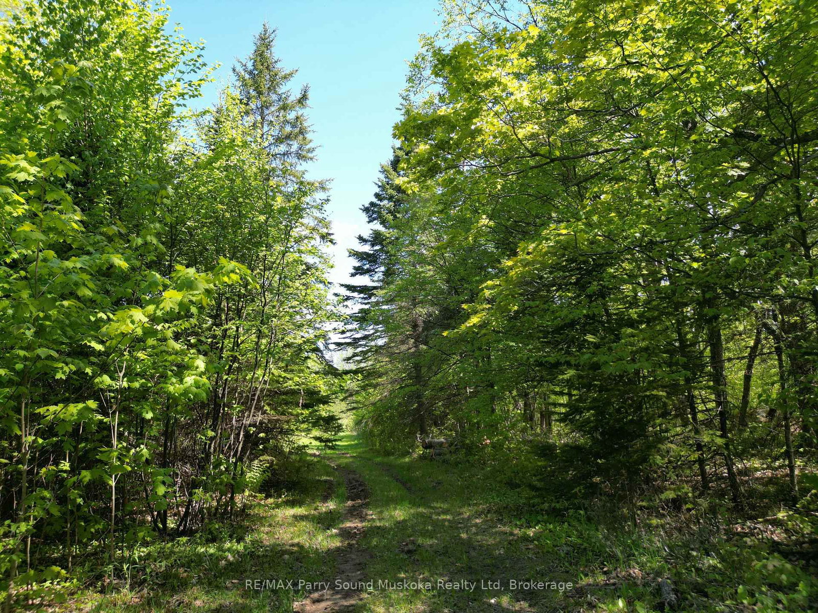 791 Clear Lake Road • Parry Sound Remote Area, ON photo 8