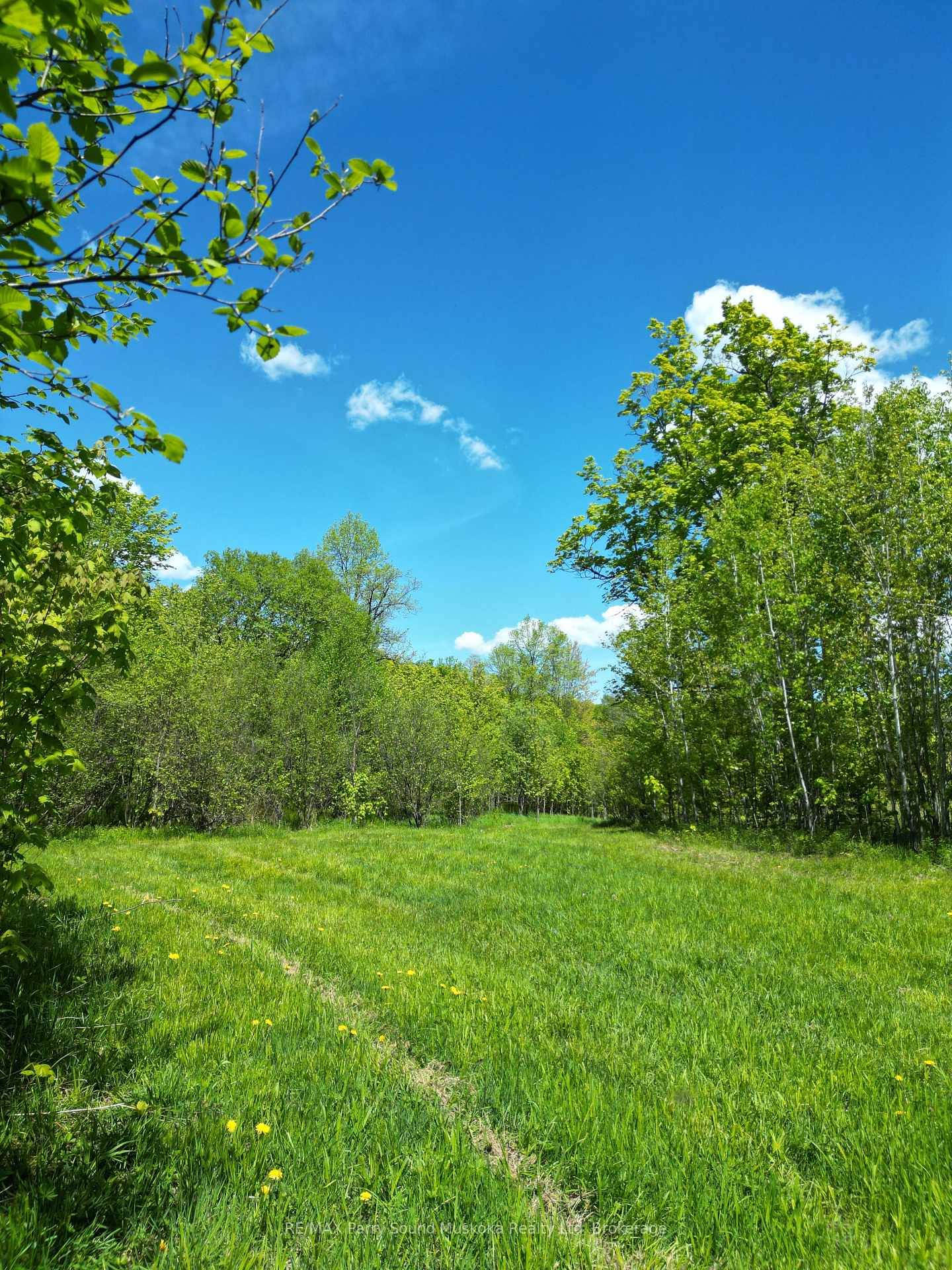 791 Clear Lake Road • Parry Sound Remote Area, ON photo 9