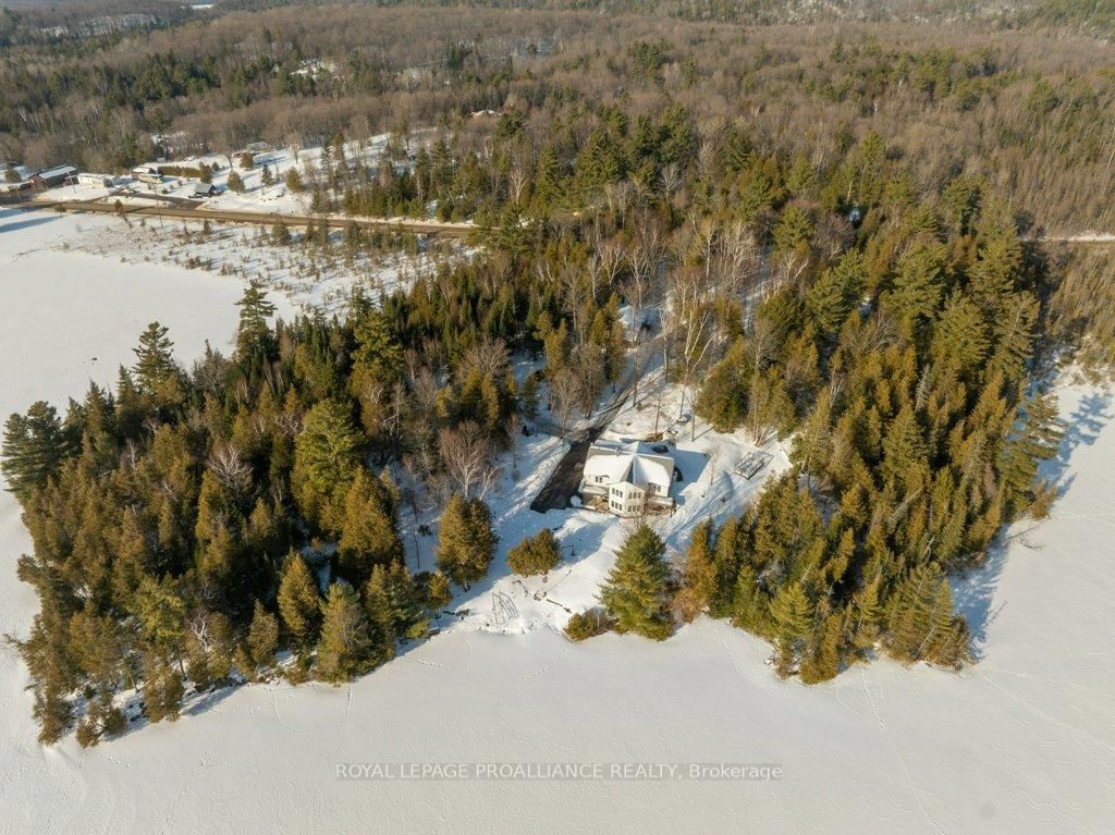 Listing Image 49