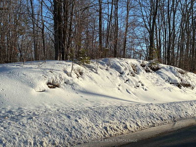 PT LT 2 Desert Lake Road, Verona, Ontario image-0-1