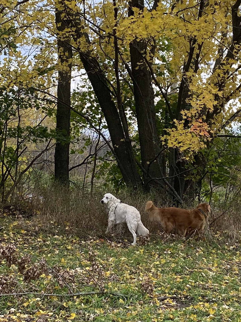 LOT Sapphire Dr, South Glengarry, K6H 7J1 | Image 3