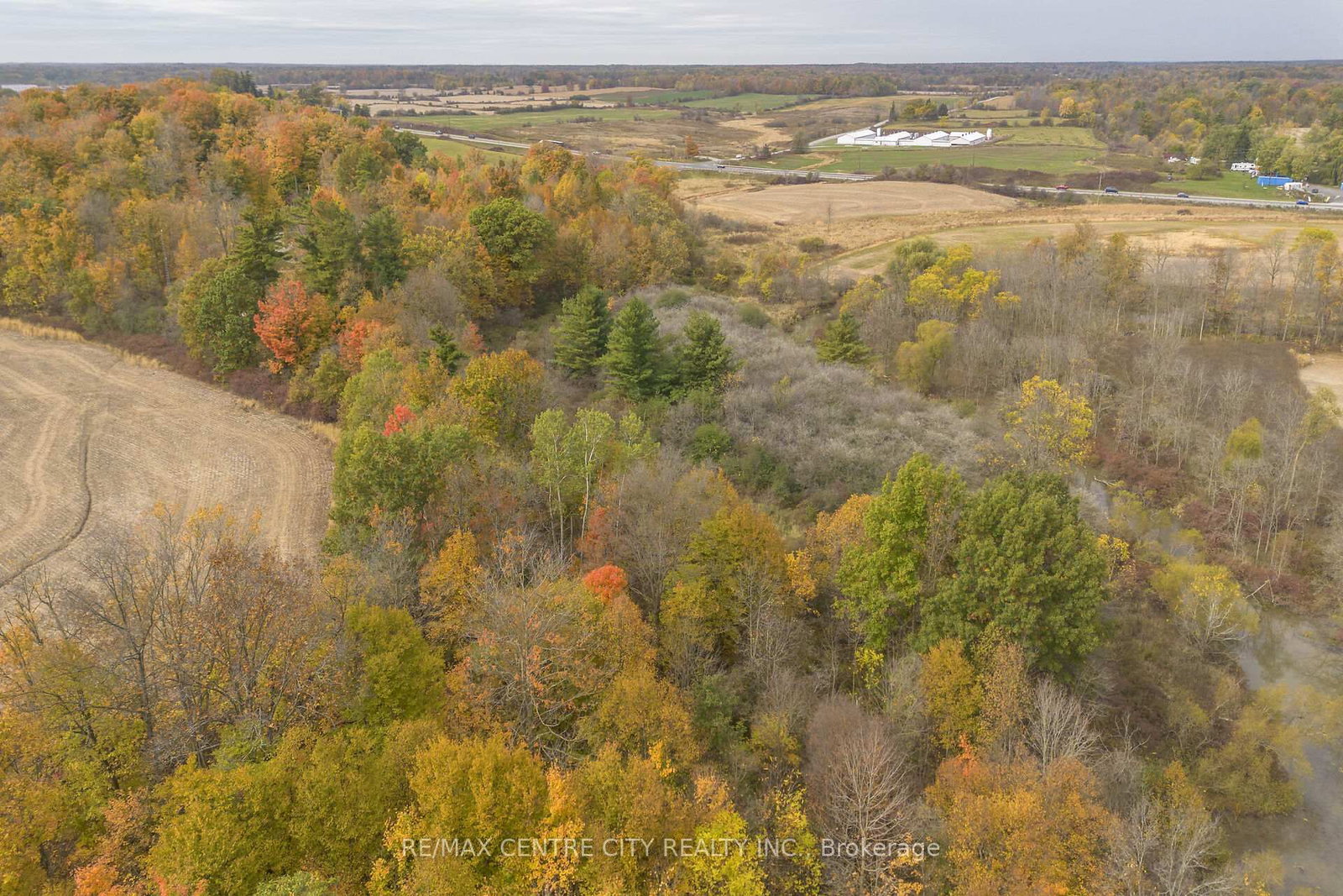 5300 Hwy 6 • Haldimand, ON photo 36