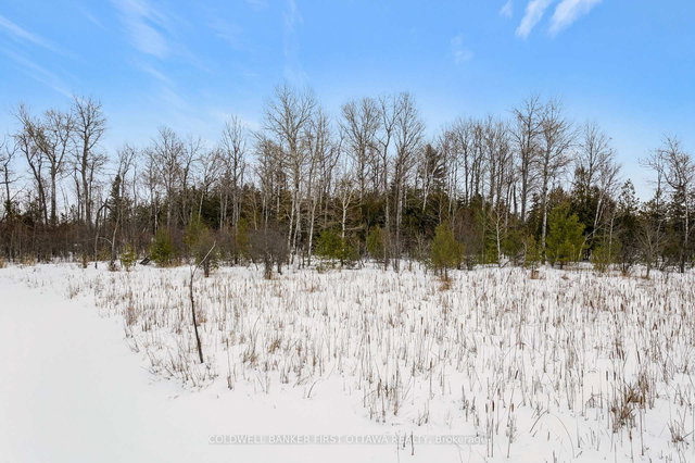 00 Wolf Grove Rd PT LT 16 Road