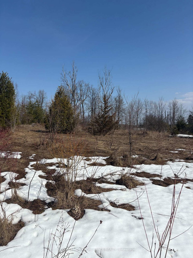 5 Pollock Rd, Trent Hills, K0K 3K0 | Image 3