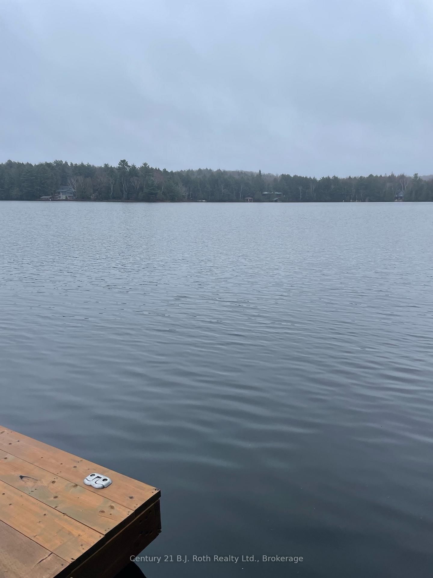 Sinclair, Lake Of Bays photo 2