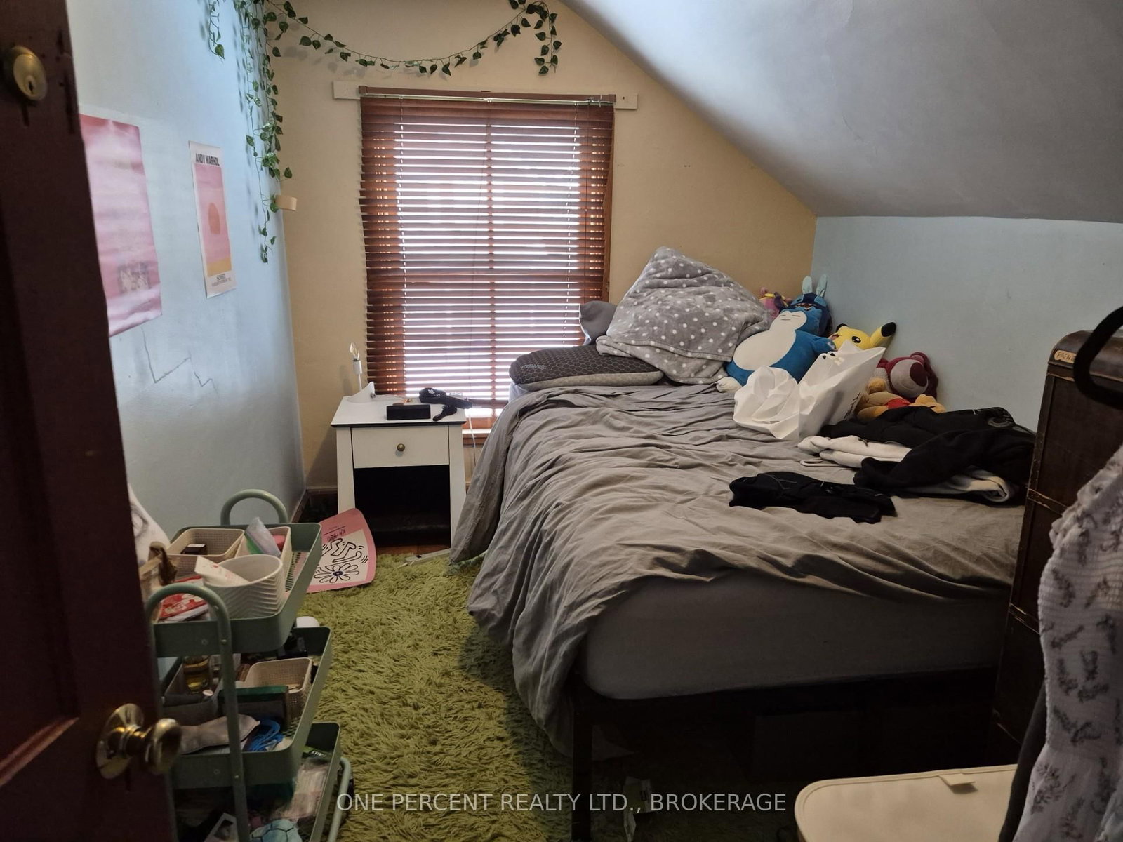 445 Albert Street - Photo 15