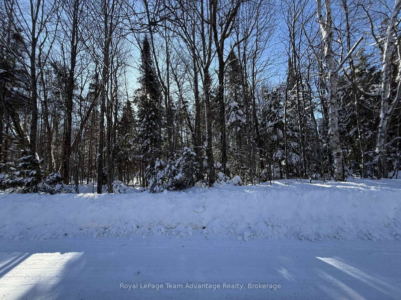 0 LAKEVIEW Dr E, Ryerson, P0A 1C0 | Image 3