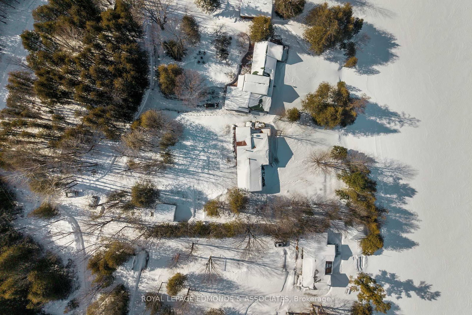Listing Image 39