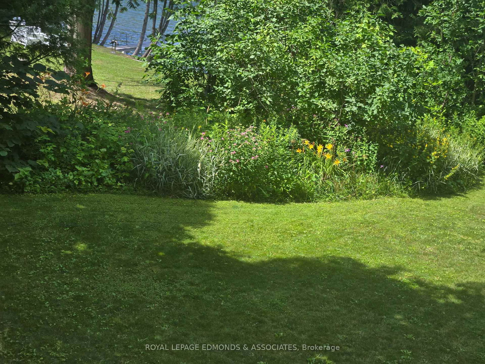 Listing Image 47