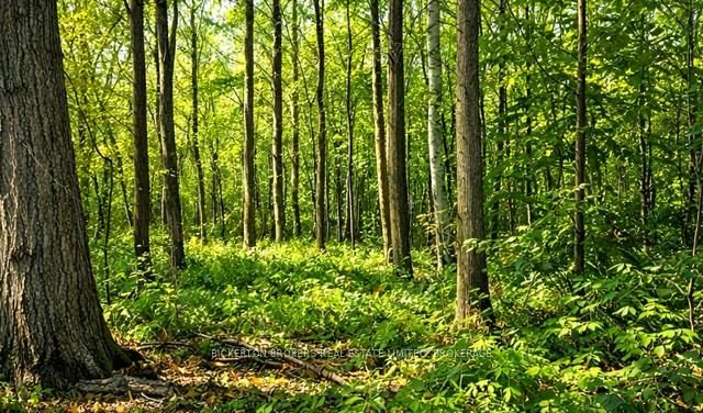 home for sale on 49 Cedar Sands Road