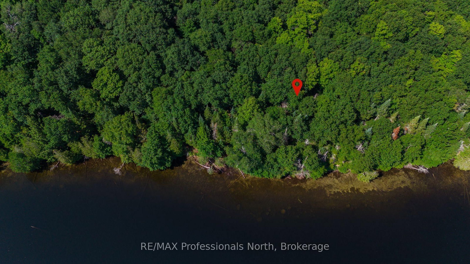 1448-1 WEST OXBOW LAKE Road • Lake of Bays, ON photo 21