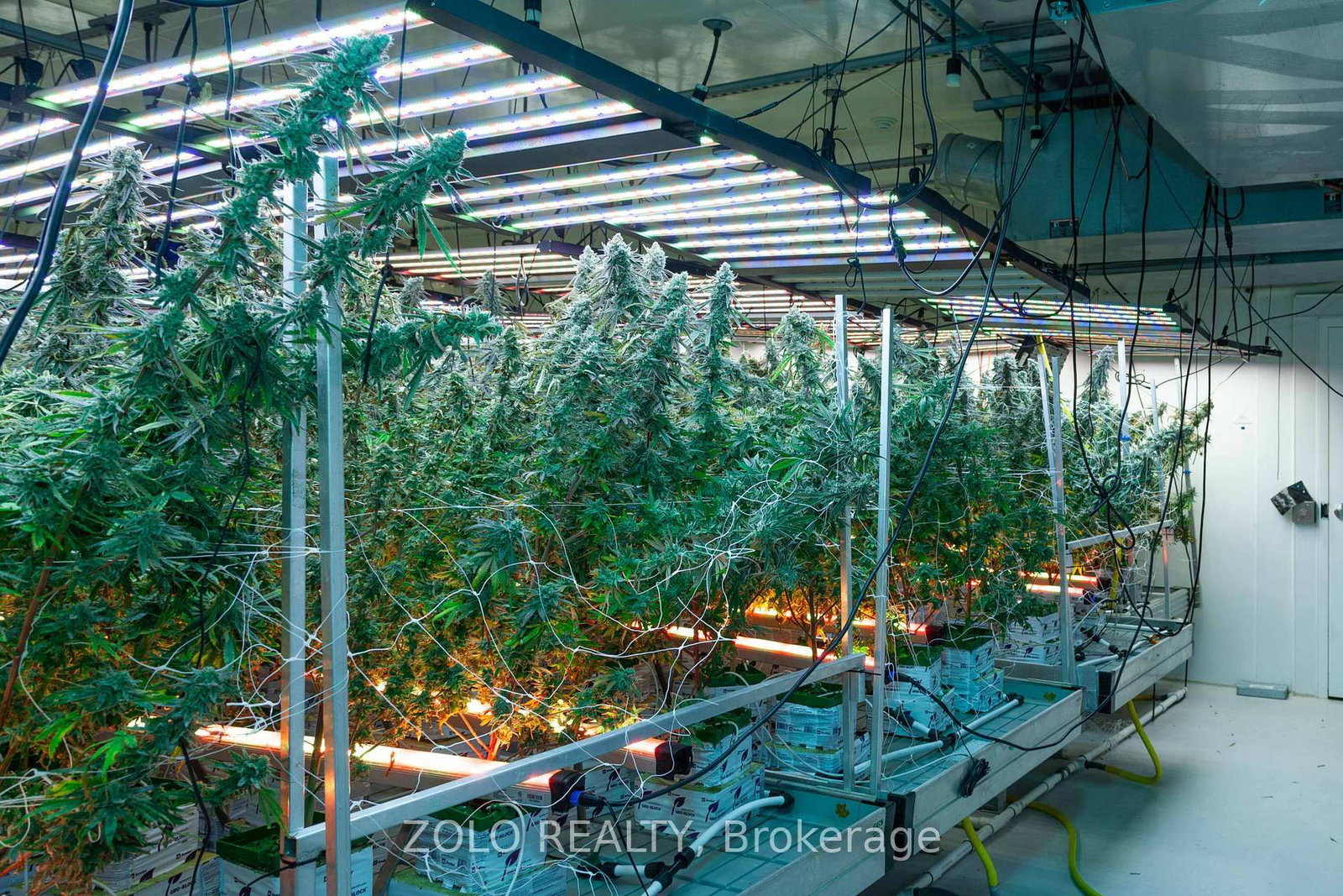 380 Hardy Road - Photo 14