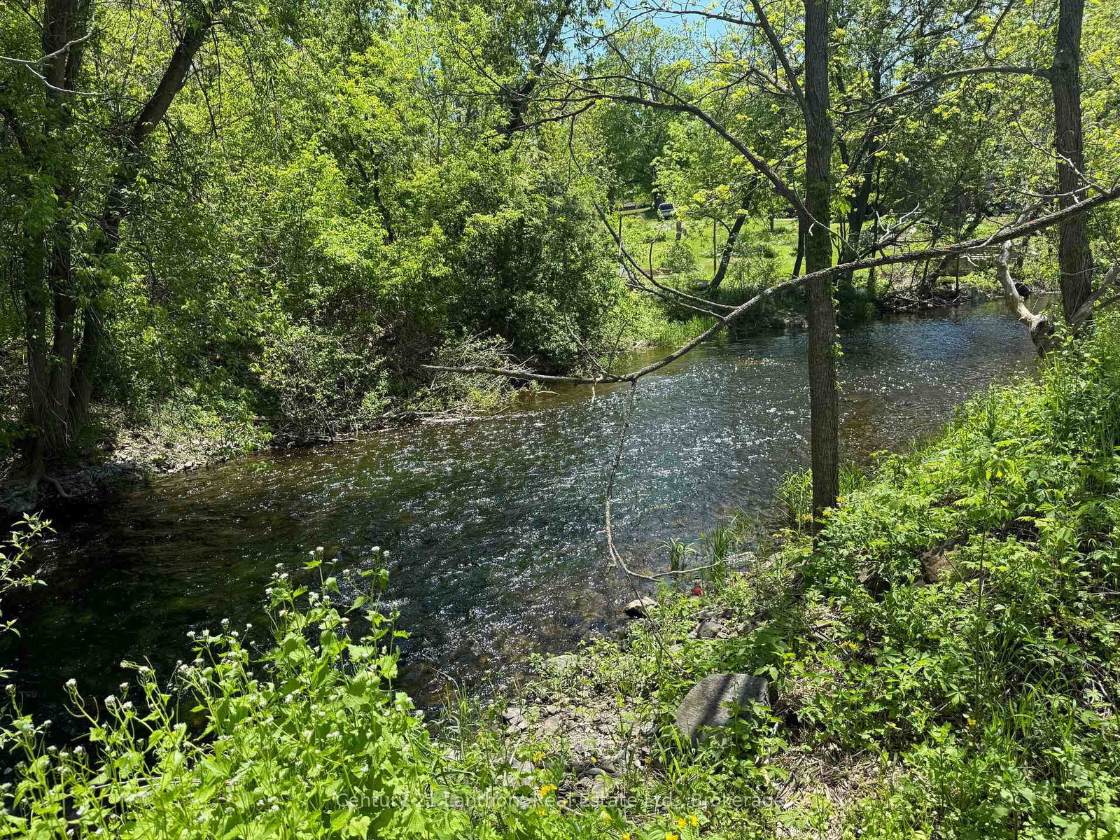 3 Champlain Street • Madoc, ON photo 36