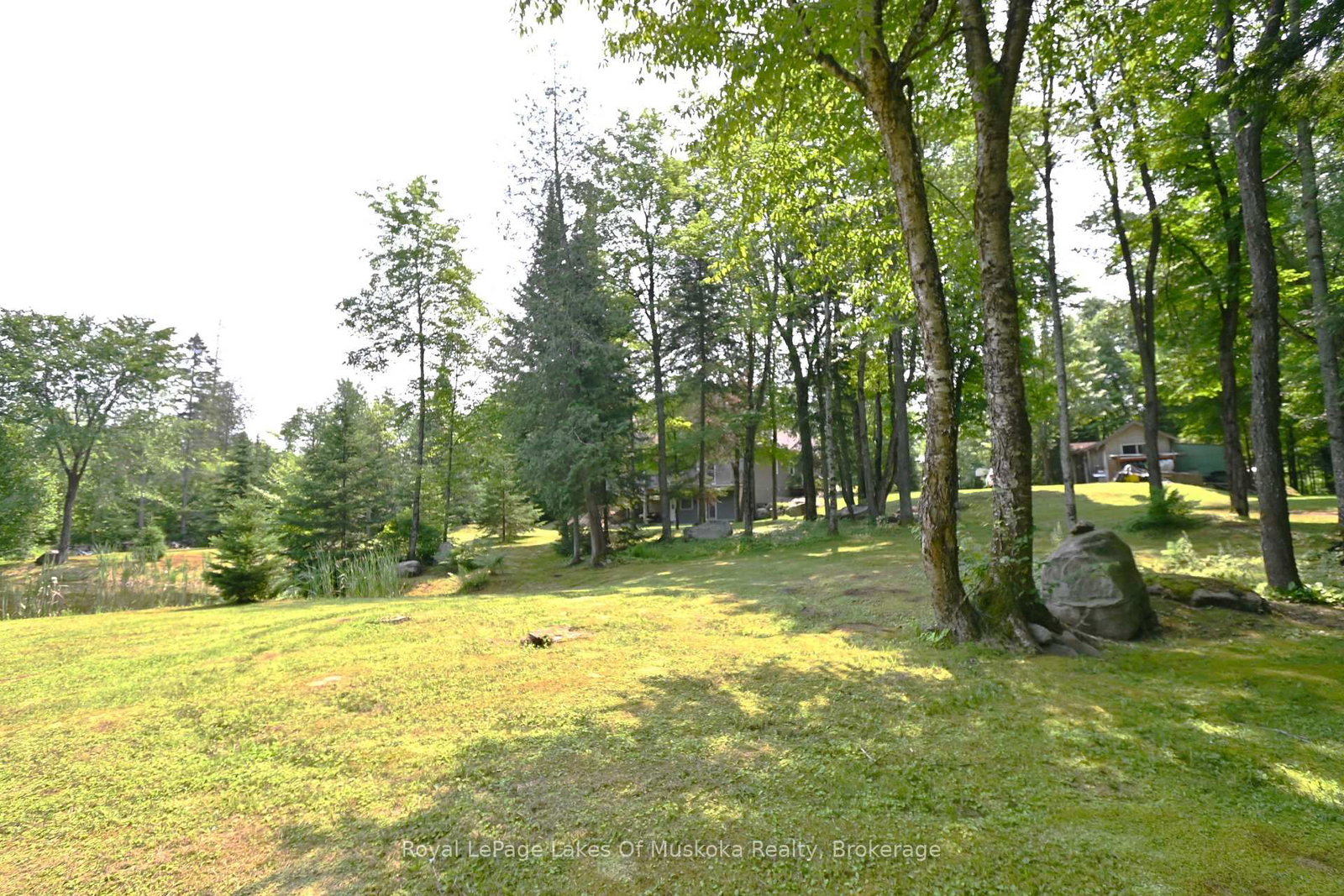 Listing Image 37