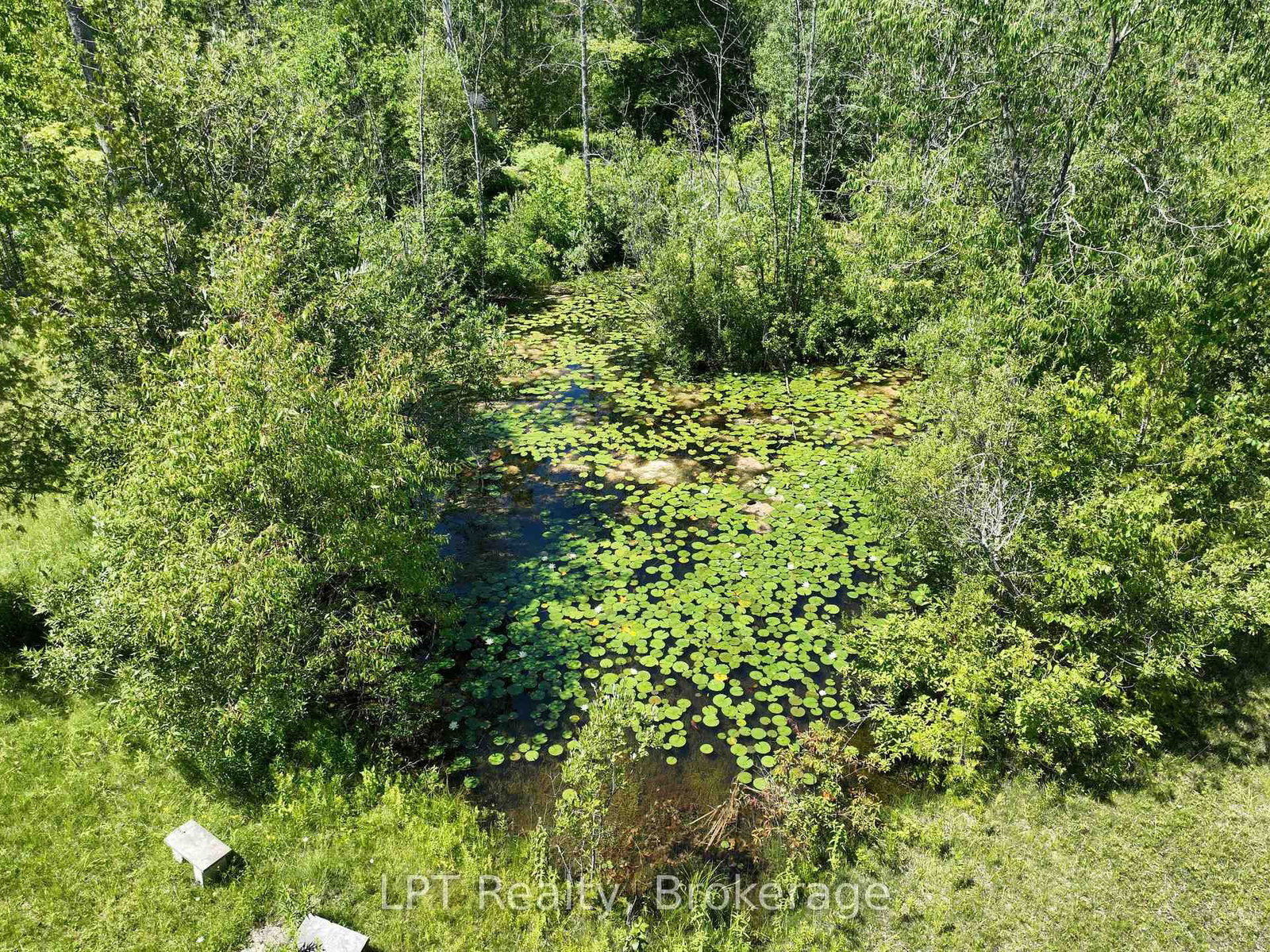 172 BRYANT Street • South Bruce Peninsula, ON photo 42