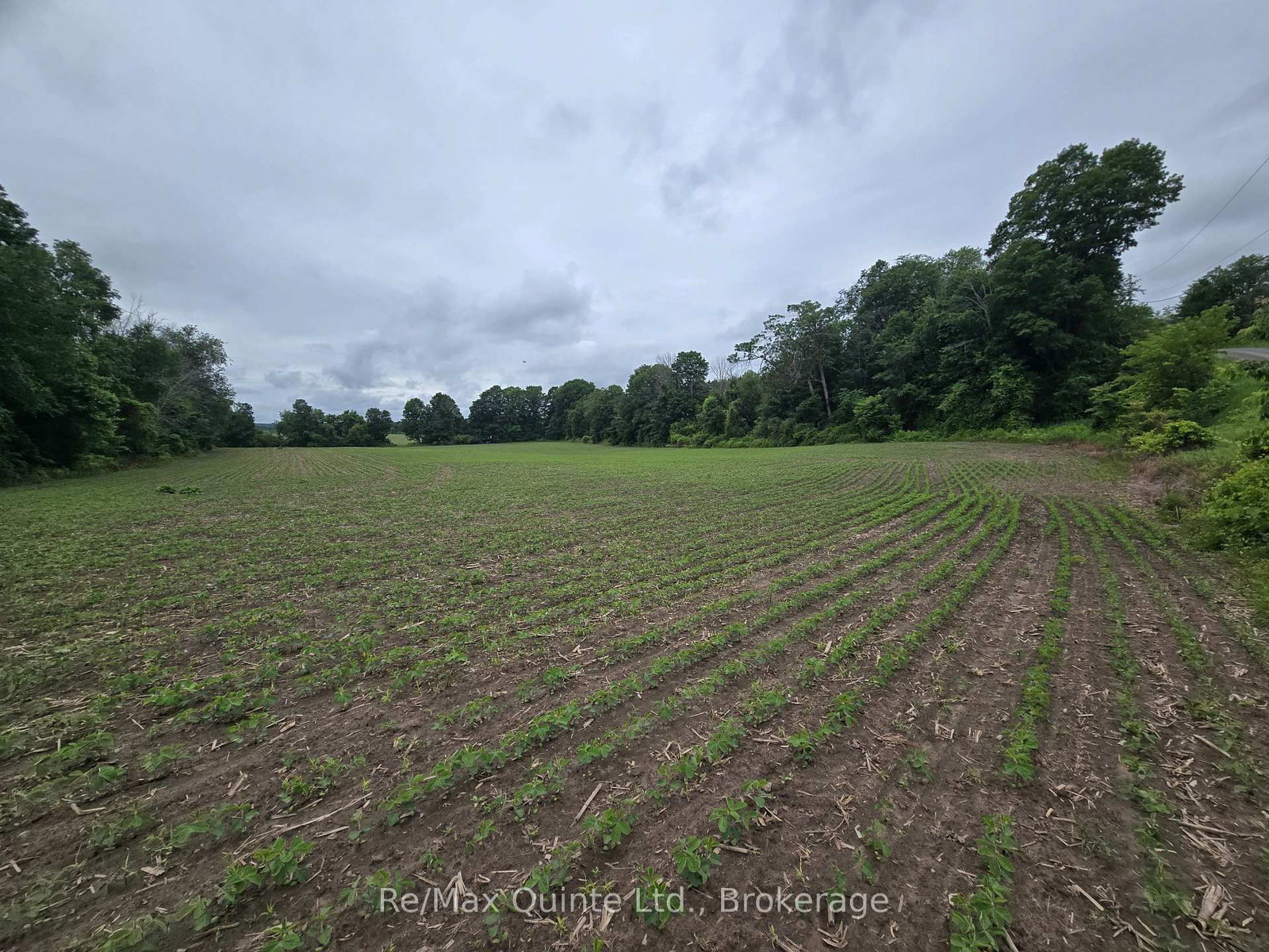 0 Marrisett Road • Thomasburg, ON photo 4