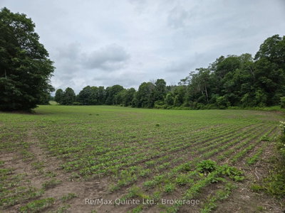 0 Marrisett Road • Thomasburg, ON photo 5