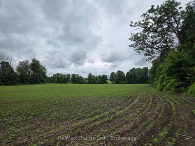 0 Marrisett Road • Thomasburg, ON photo 6