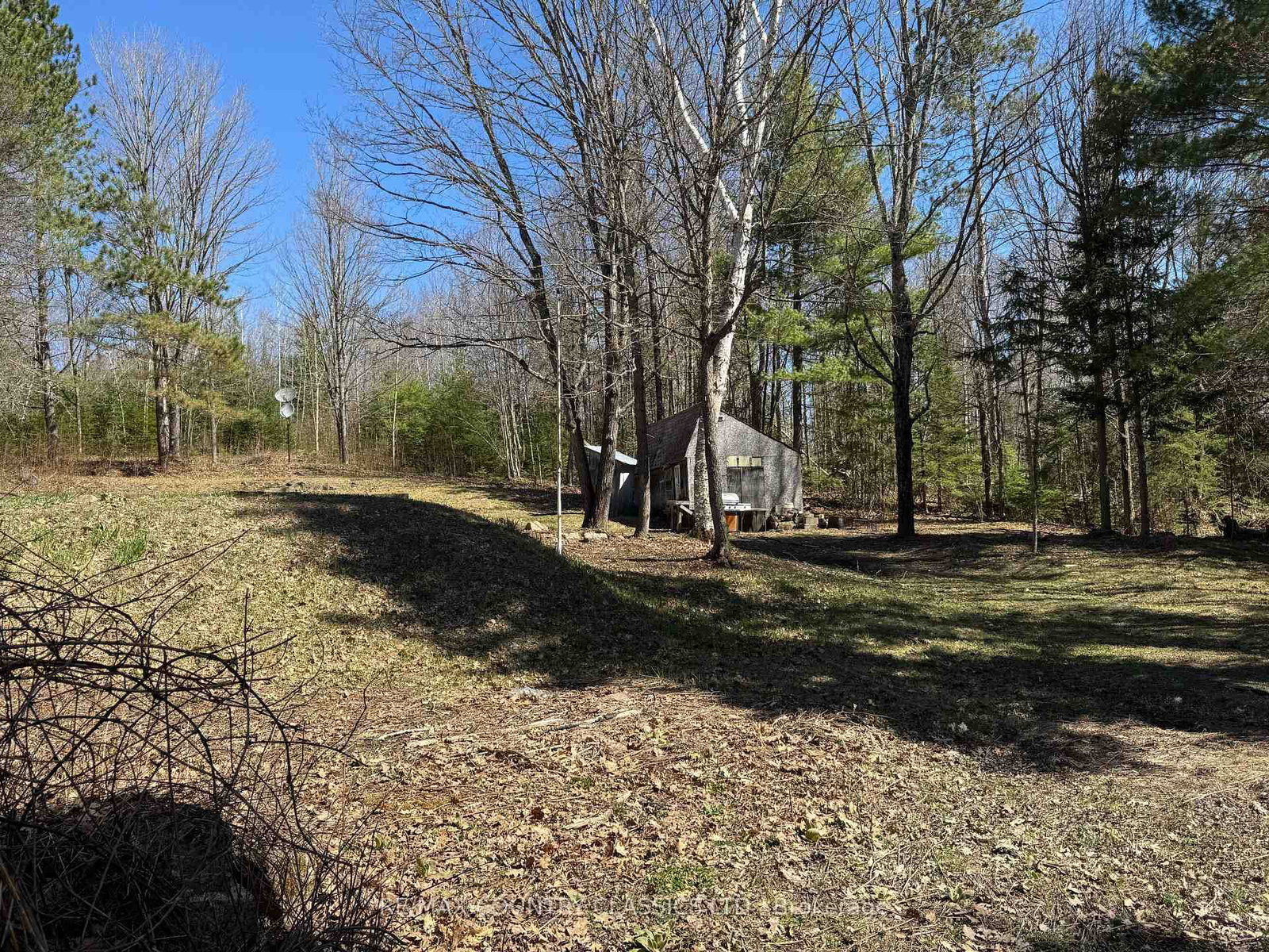 1703 Boulter Road • Maple Leaf, ON photo 14