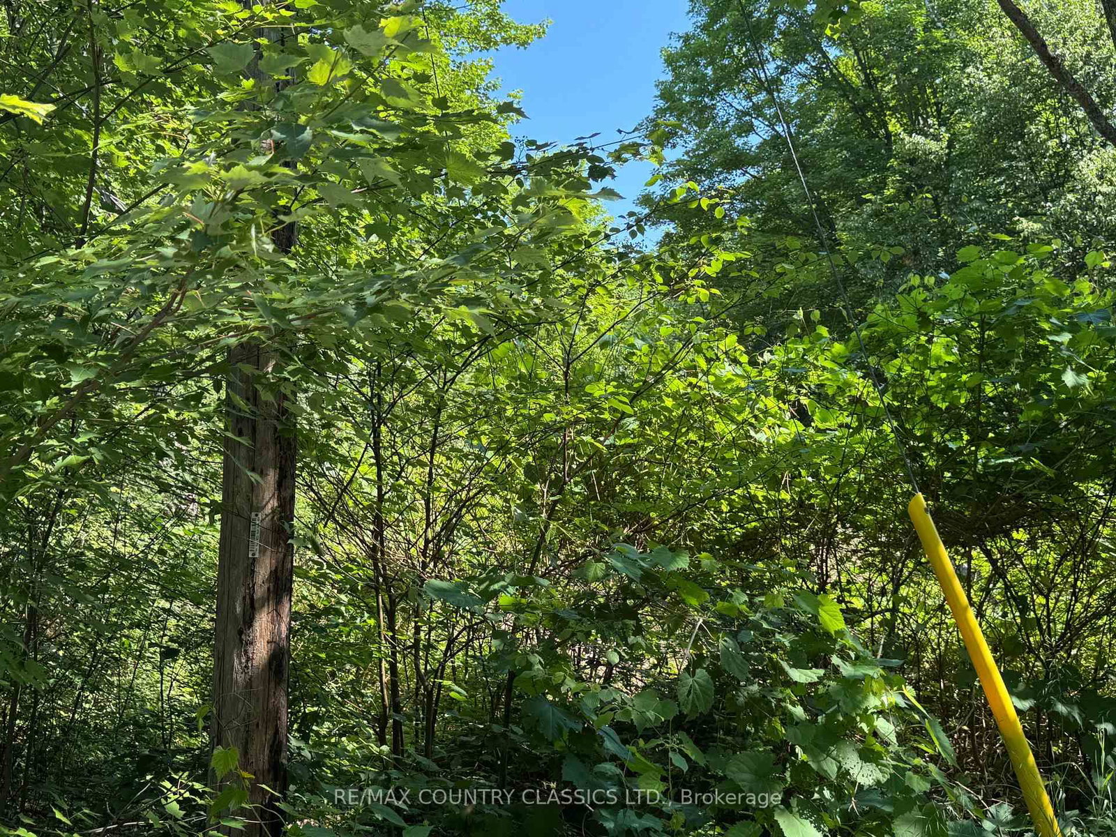 1703 Boulter Road • Maple Leaf, ON photo 21