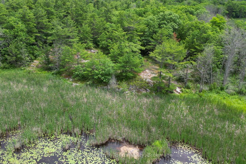 180 Prisque Rd, Georgian Bay, P0E 1E0 | Image 3