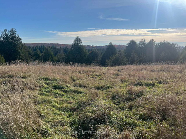 251 Concession Rd 13 E