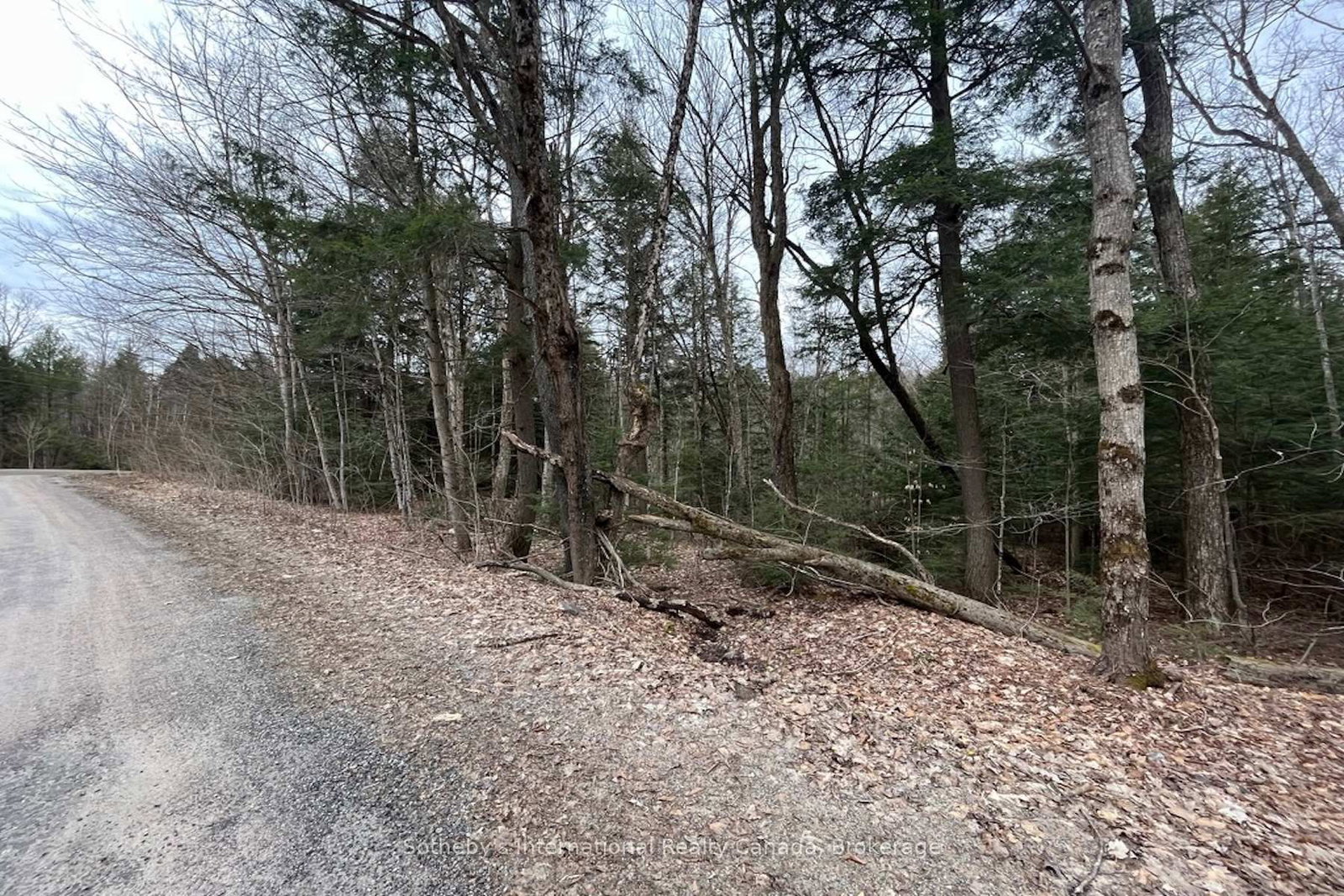 Vacant Land for sale at 1031 HAVEN Road, Bracebridge, Ontario, P1L 1X1 - Draper - MLS: X12840170