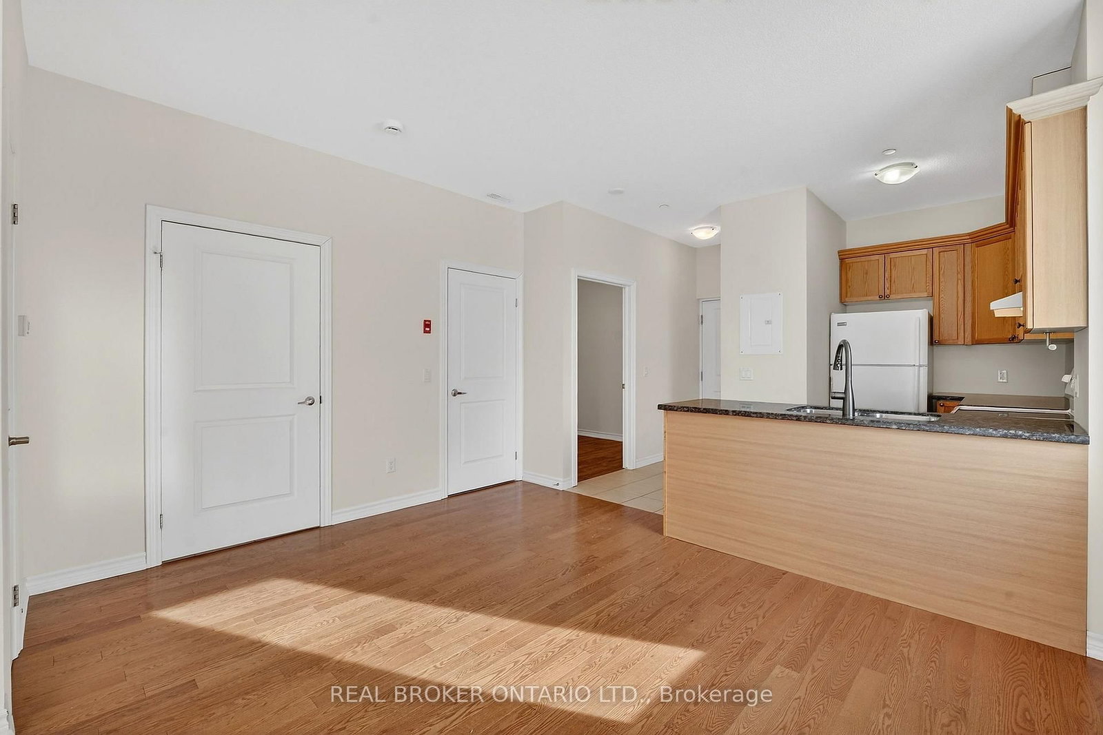 Condo for sale at 102-95 Wilson Street, Hamilton, Ontario, L8L 5C4 - Ancaster - MLS: X12841498