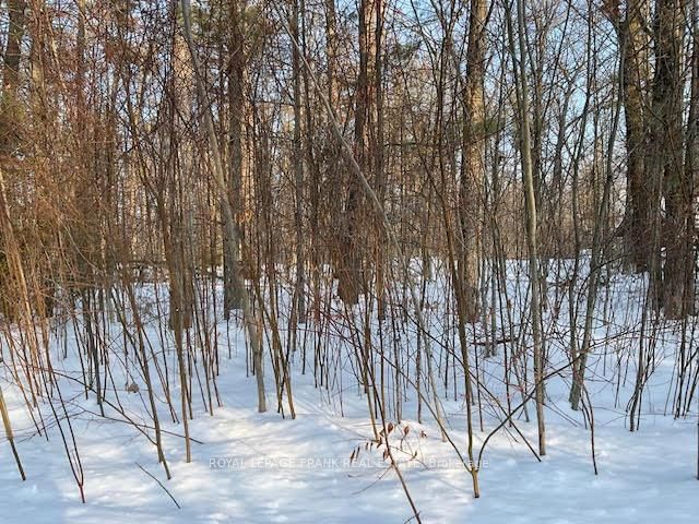 0 Sugarbush Crescent