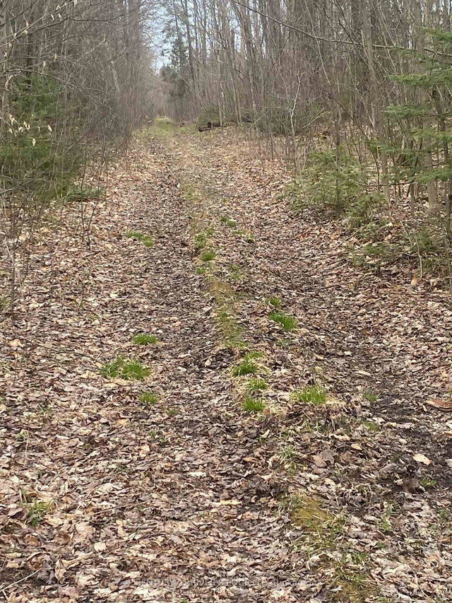 00 County Rd 44 Road