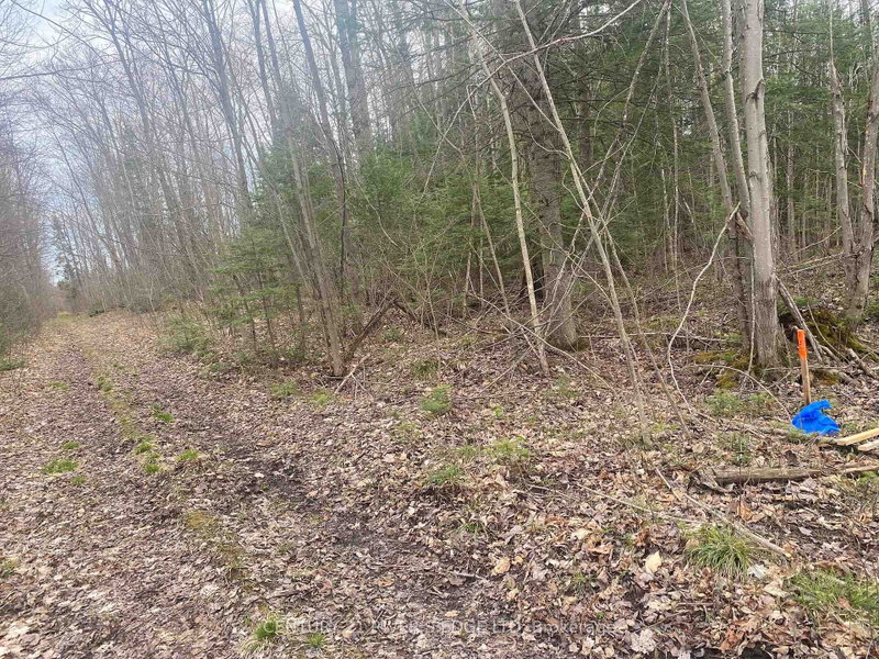 00 County Rd 44 Road