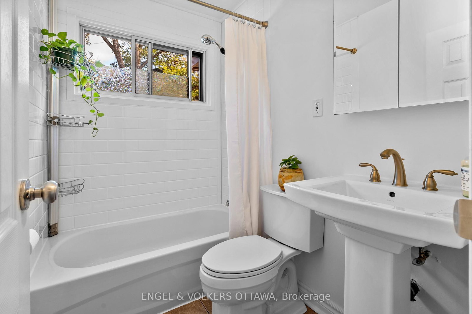 270 Beechwood Avenue, Unit 11 - Photo 14