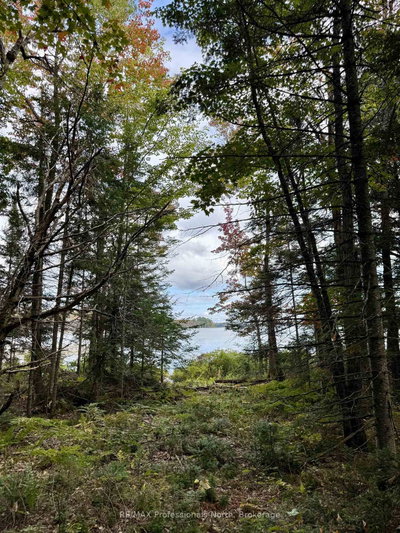 9 Woodland Drive — photo 3