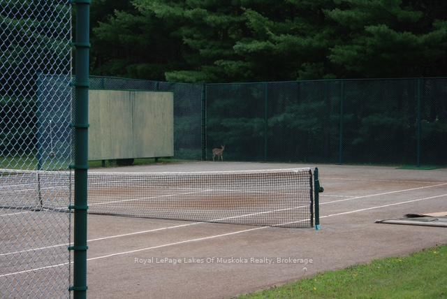 Detached House for sale at 574 Ravenscliffe Road, Huntsville, Ontario, P1H 1N5 - Chaffey - MLS: X12847850