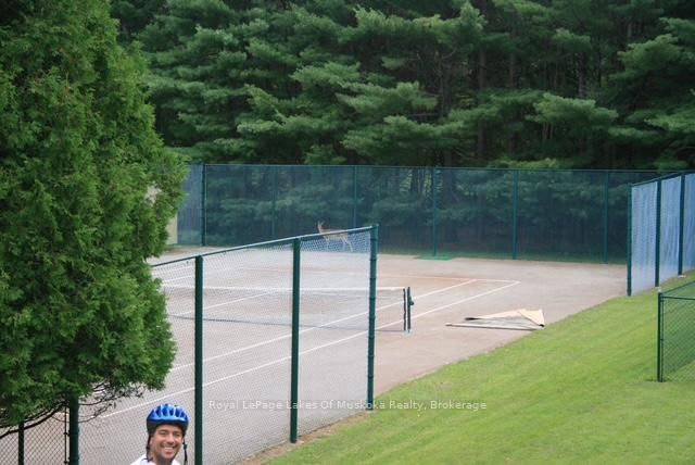 Detached House for sale at 574 Ravenscliffe Road, Huntsville, Ontario, P1H 1N5 - Chaffey - MLS: X12847850