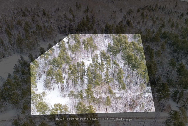 265 Addington Road 4