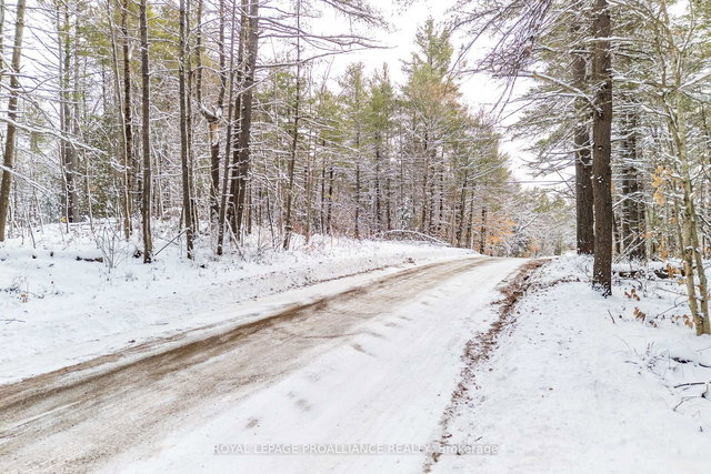 265 Addington Road 4