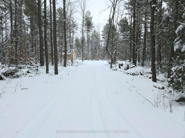 265 Addington Road 4