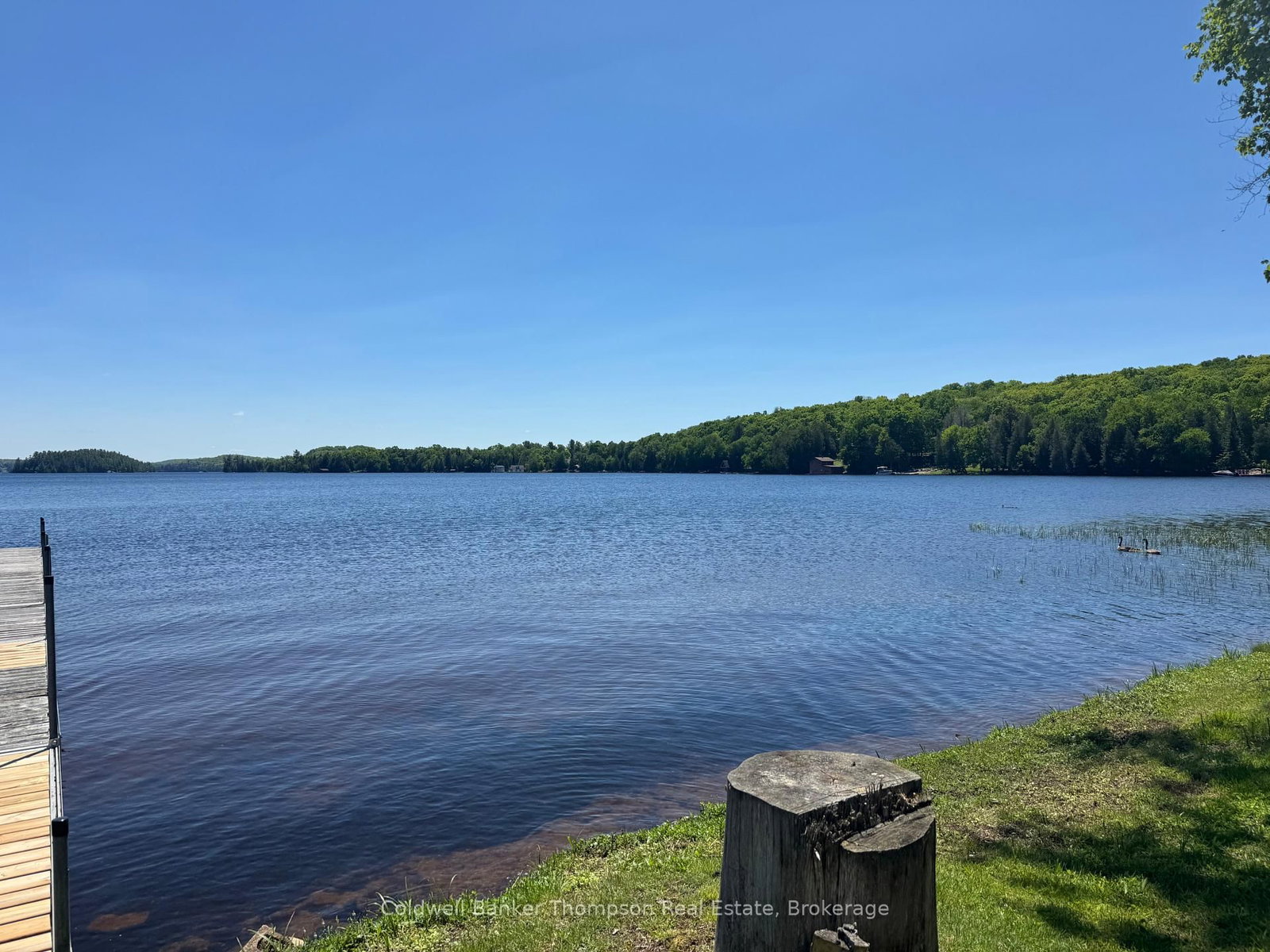 3105 Highway 520 Highway • Magnetawan, ON photo 18