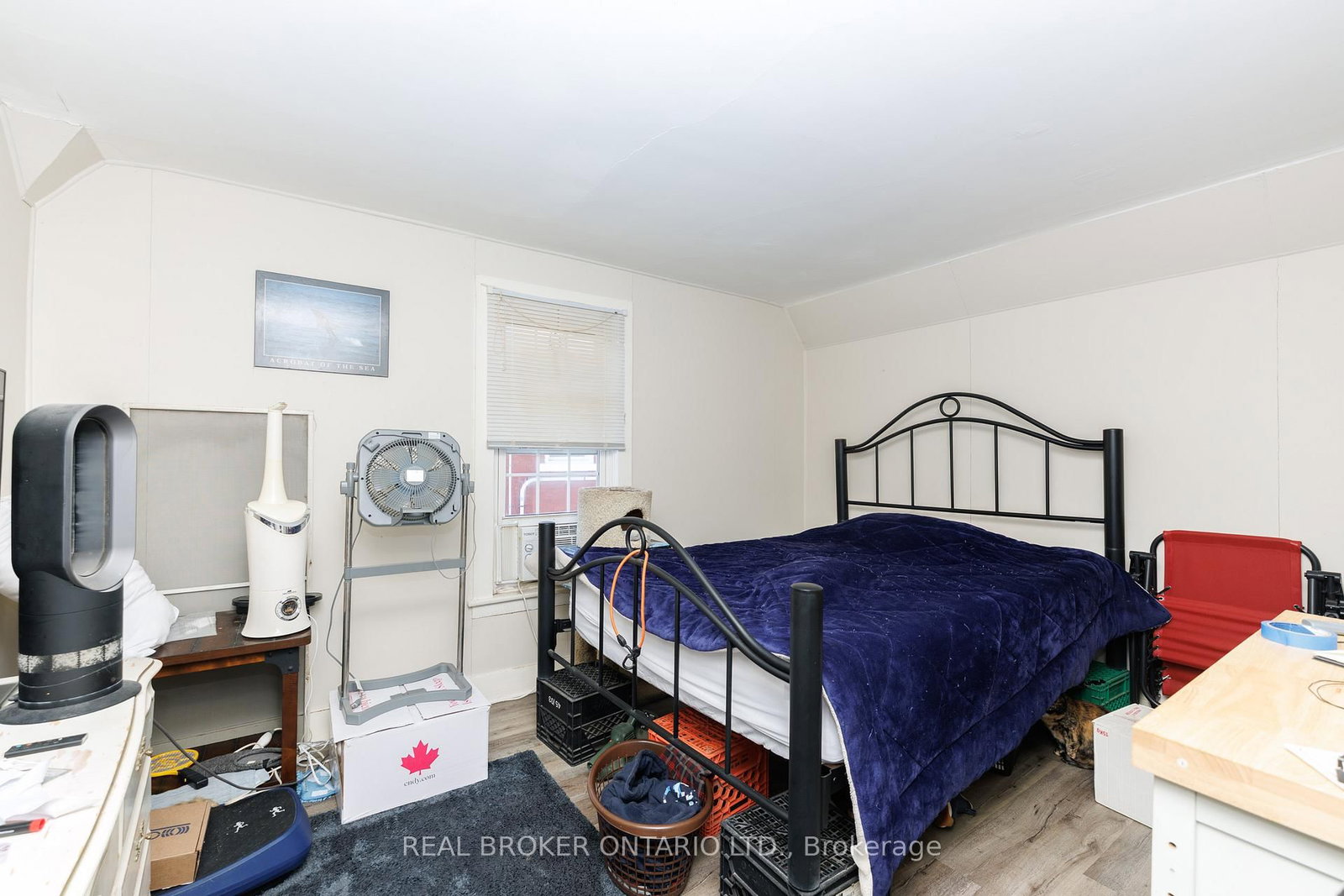 Semi-Detached House for sale at 242 Jarvis Street, Fort Erie, Ontario, L2A 2S5 - Central - MLS: X12848548