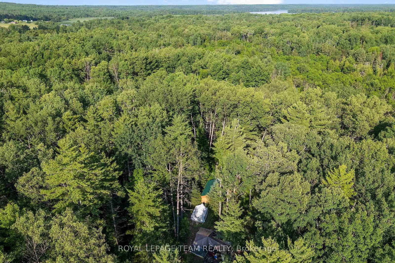 00 (31253) Highway 41 Highway • Eganville, ON photo 10
