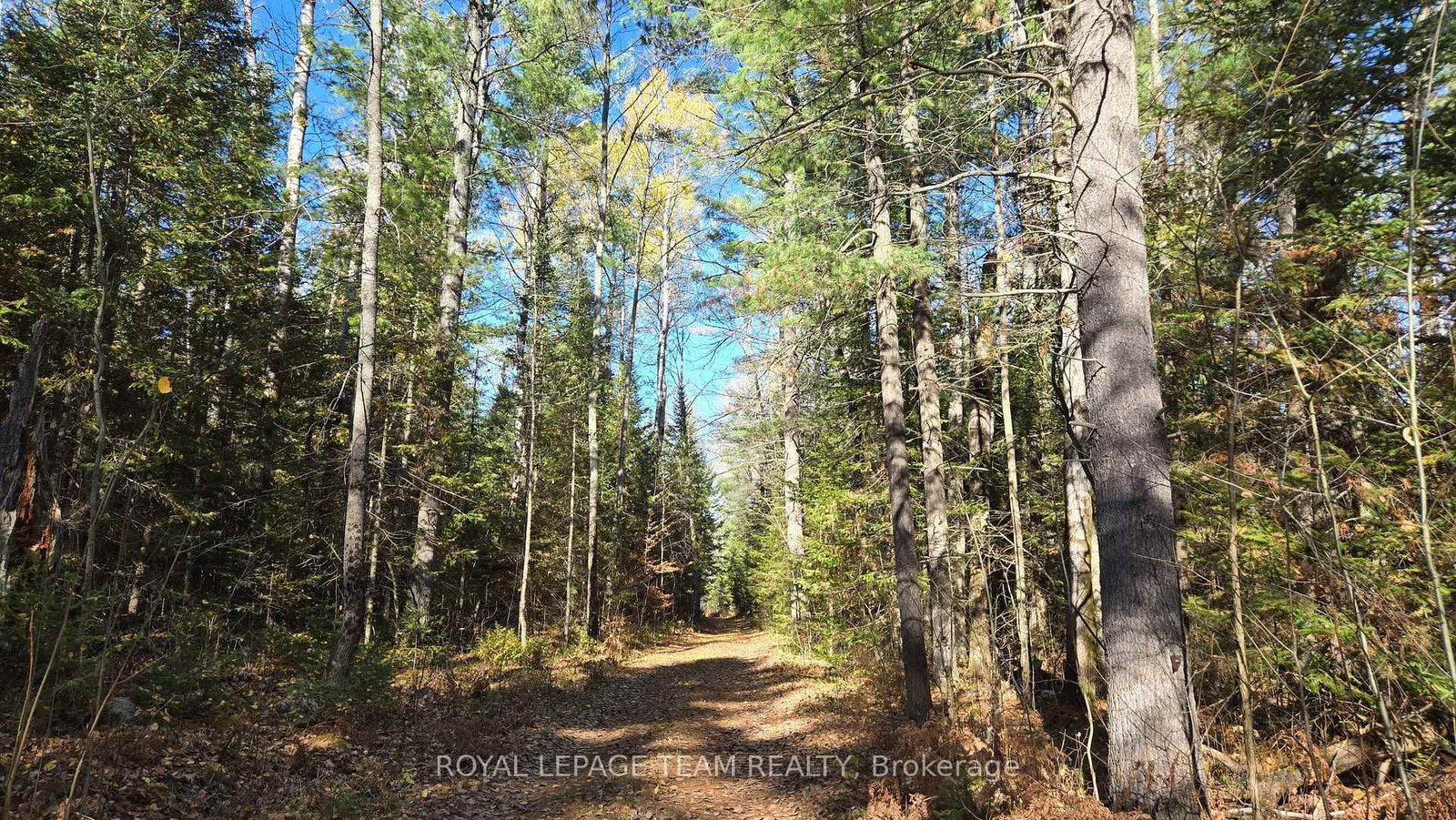 00 (31253) Highway 41 Highway • Eganville, ON photo 15