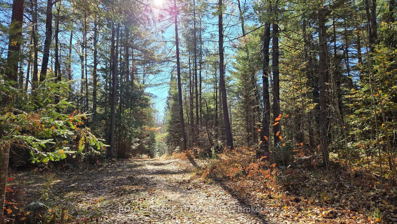 00 (31253) Highway 41 Highway • Eganville, ON photo 16